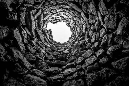 1291244_10204218866784175_7578079226811123941_o