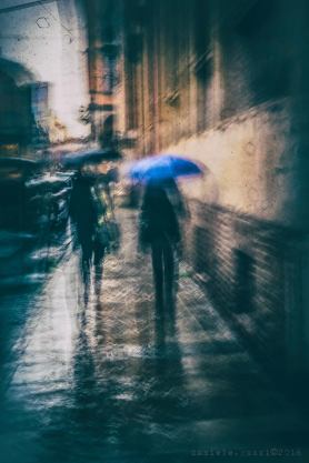 12919758_1183120661718865_245394837268015746_n