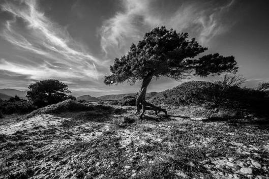 1901973_10202429748617339_1063797042_n