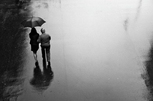 d7a4ef_6cb6ae7371a5854849989a75a1cdf835