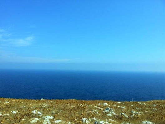 14202662_10207150409186322_5995082420971557279_n