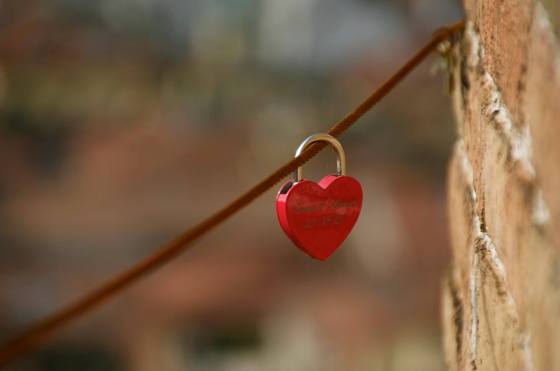 12095206_1195090207174103_9134868653348163482_o