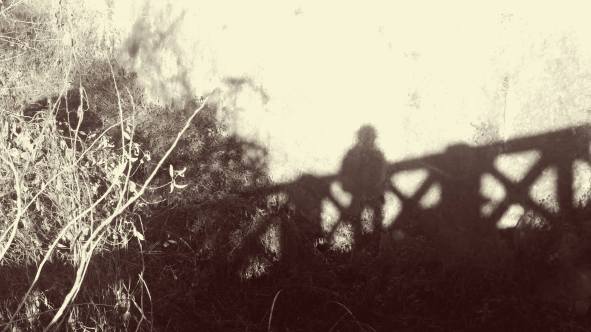 12646710_1258126120870511_3123450960877785418_o