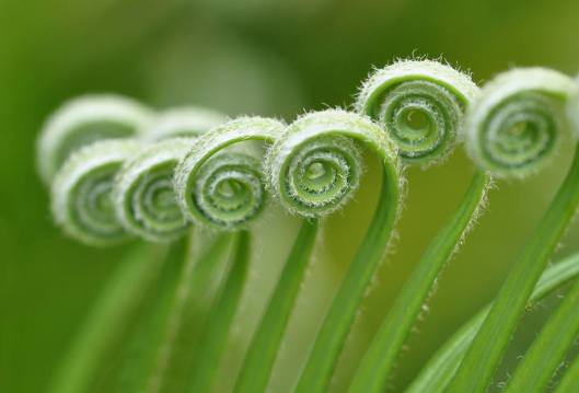 14725580_1468726226477380_3938095395448588552_n