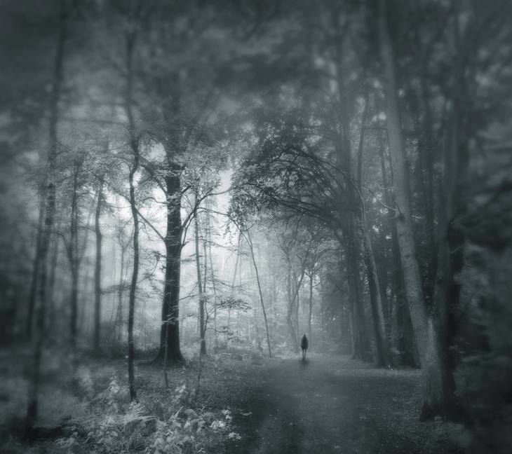 11760179_1112256008801816_4845873663469089008_n