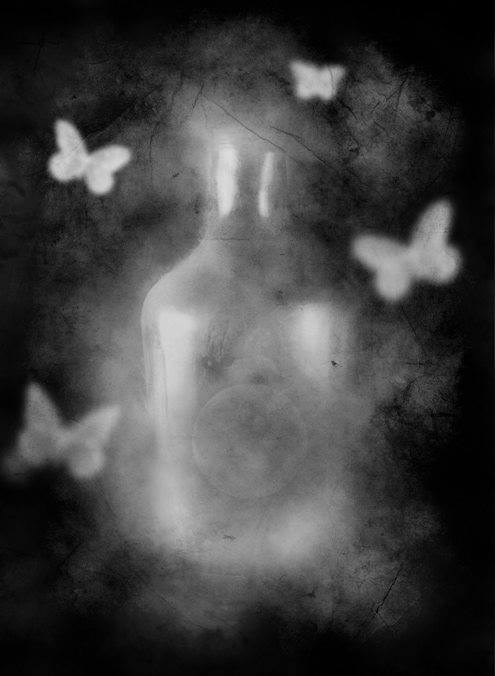 12011264_433953553454842_2690303878471261683_n