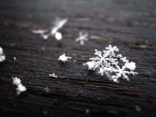 1527123_10201350584194322_861959657_n