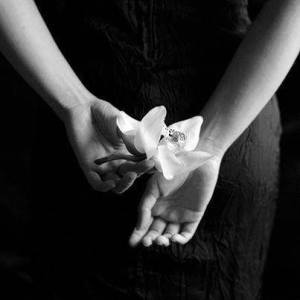 10150815_725471990837147_36558381899294240_n