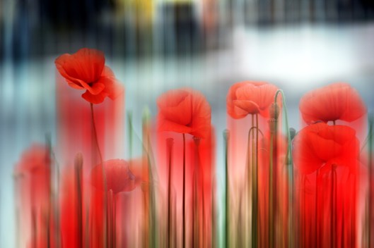 IMG_6977 copia CHIARA