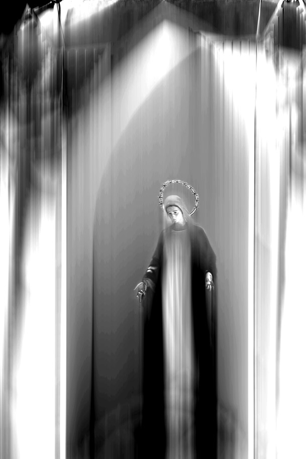 IMG_9235 copia luminosa