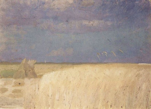 Cornfield at harvest time