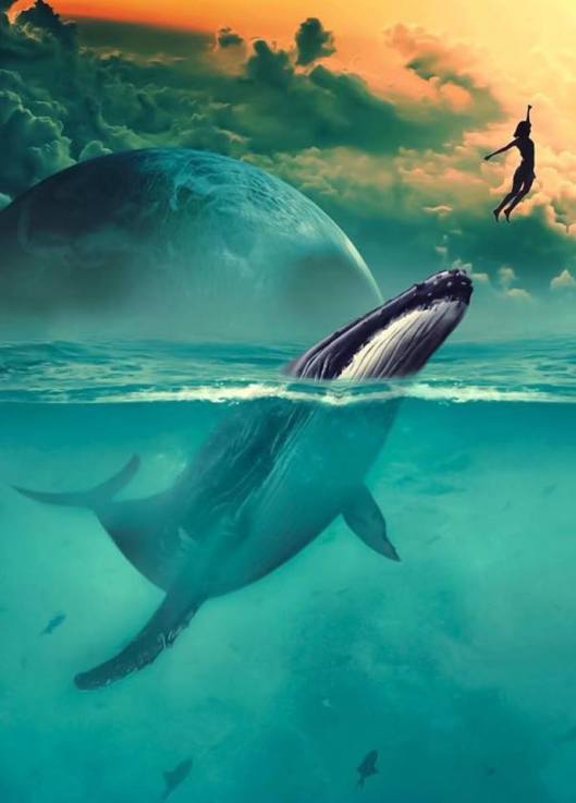 23659516_792277457629177_3043445839159046513_n