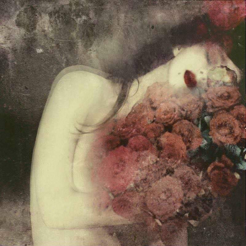 27654424_152244272239856_8858337401902964645_n (1)